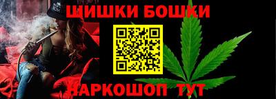 spice Гай