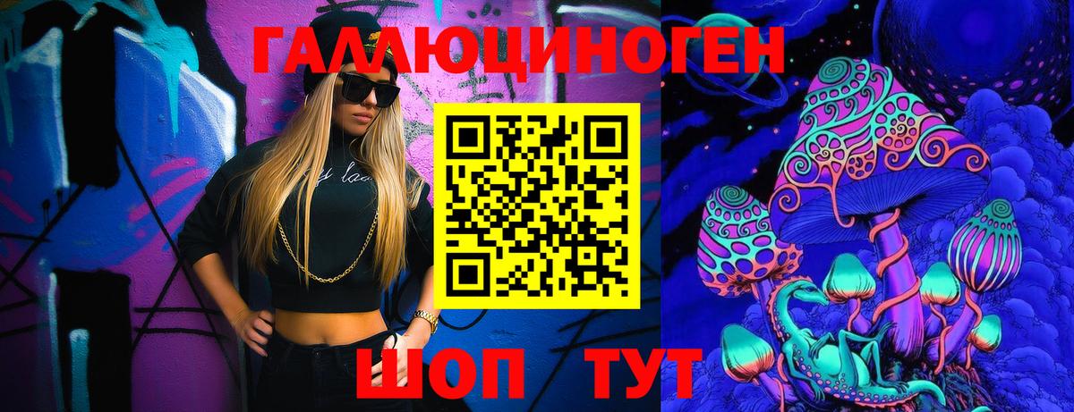 Псилоцибиновые грибы Psilocybine cubensis  Коммунар 