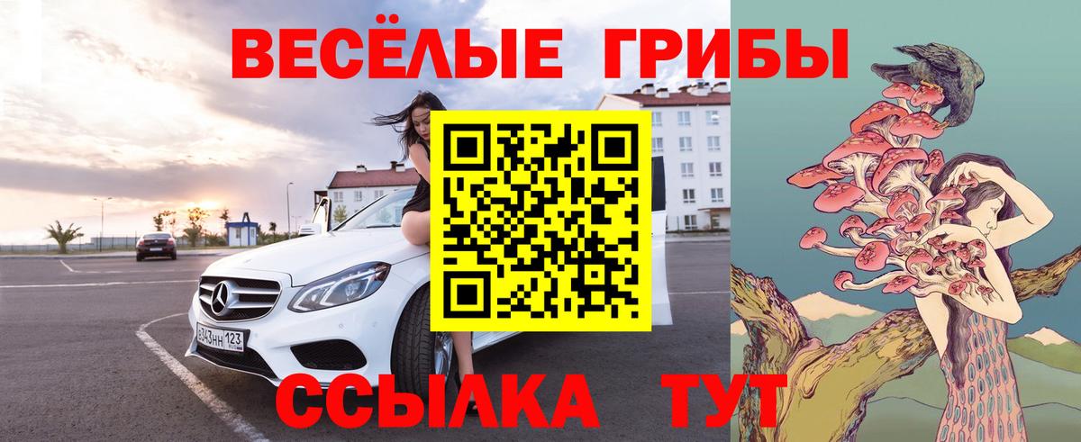 Галлюциногенные грибы Magic Shrooms Коммунар